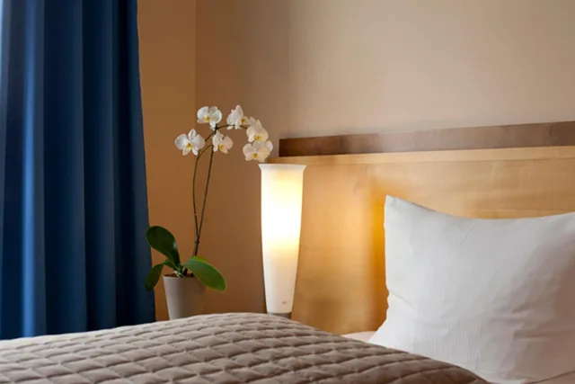 Senior, Suite, River View، Sorat Insel-Hotel Regensburg 5/8