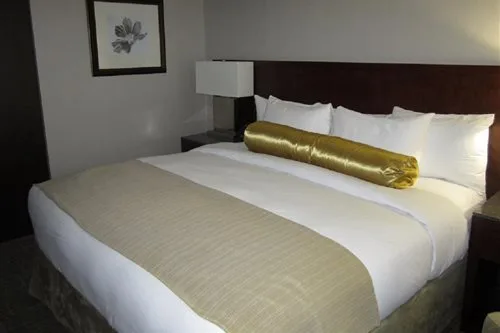 Room, Double Bed, Doubletree By Hilton Kamloops 1/1