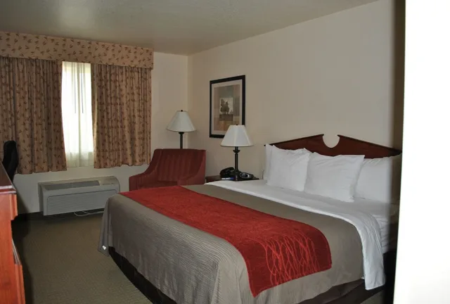 غرفة قياسية بسرير كينج يُسمح فيها بالحيوانات الأليفة، SureStay Plus Hotel by Best Western Buffalo 1/4