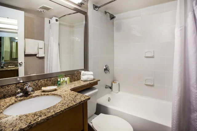 غرفة قياسية بسرير كينج لذوي الإعاقة، Holiday Inn Saratoga Springs 6/7