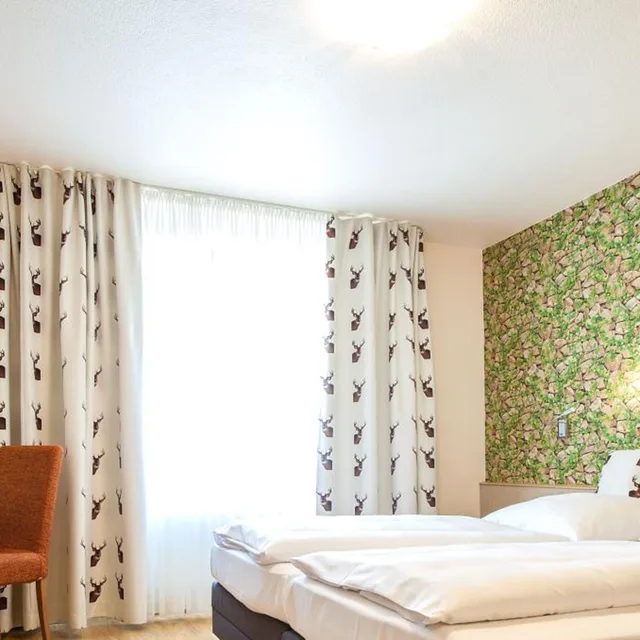 غرفة كومفورت، Hirsch Hotel 5/8