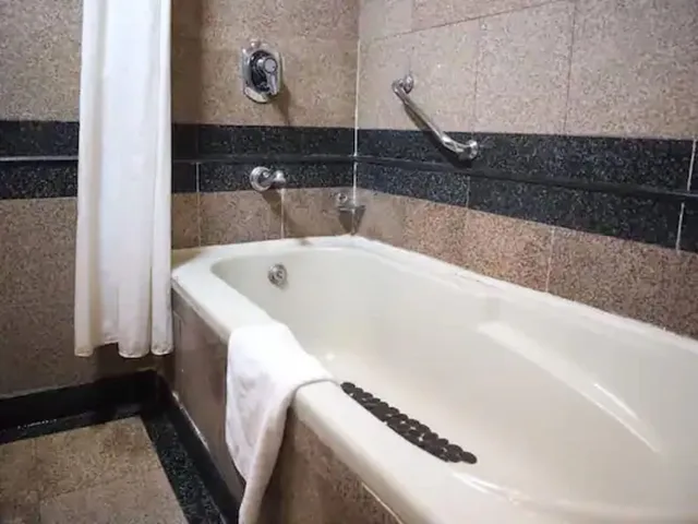Super, Deluxe, Double Bed, Small Balcony, Bathtub، Willow Banks 9/9