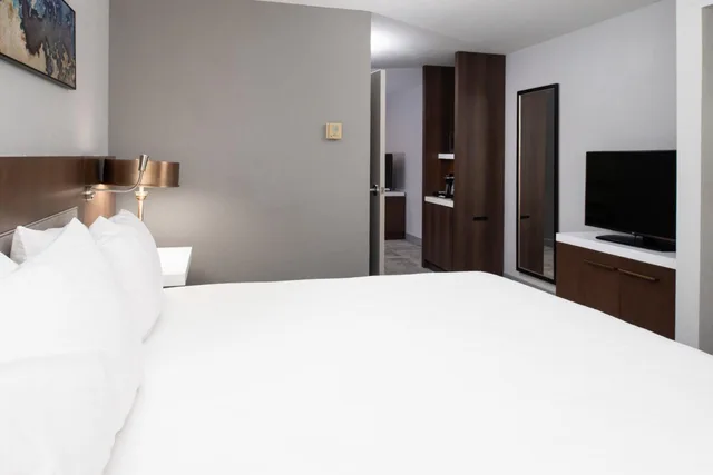 Junior Suite, King Bed, Sofa, Accessible, Hilton Garden Inn Baton Rouge Airport 1/5