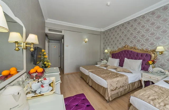 غرفة قياسية بسريرين منفصلين، Santa Sophia Hotel Istanbul 1/10