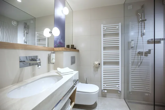 Room, Double Bed, Lake View, Balcony, Hotel Park 5/5