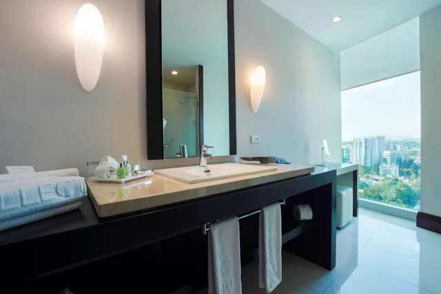Premium, Double or Twin Bed, with View, Nh Collection Guadalajara Providencia 5/6