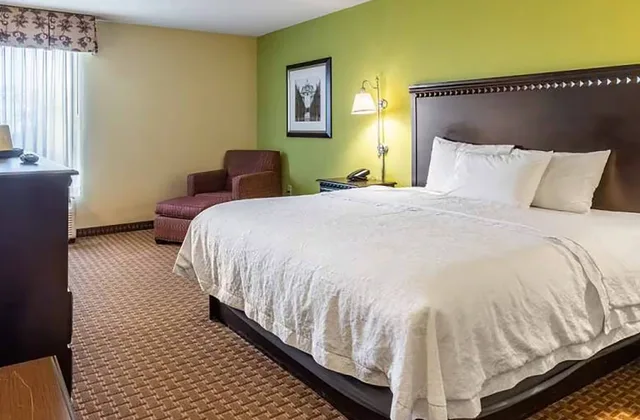 Room, Queen Bed, Wingate by Wyndham Conway, AR 1/2