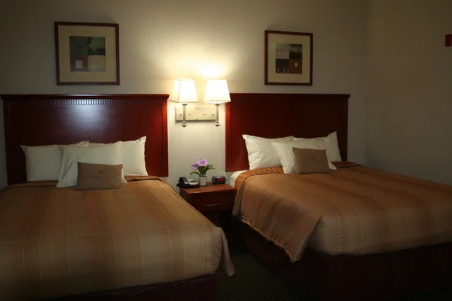 Studio, Suite, 2 Queen Beds, Candlewood Suites Avondale-New Orleans 1/4