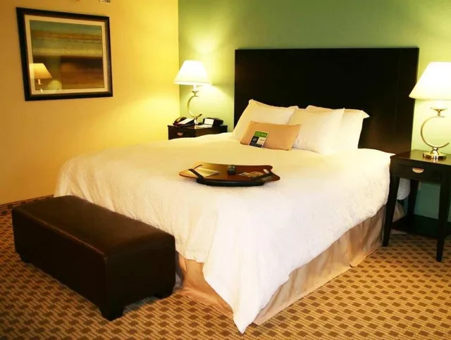 غرفة بسرير كينج لذوي الإعاقة، Hampton Inn Orange 1/2