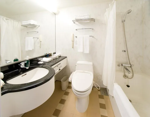 Premium, Twin Beds, Castle View، Ana Crowne Plaza Hotel Toyama 6/6