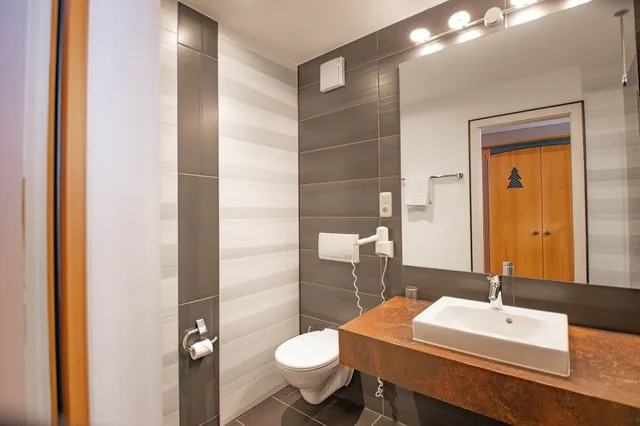 Room, King Bed, Hotel Tanne Ilmenau 3/4