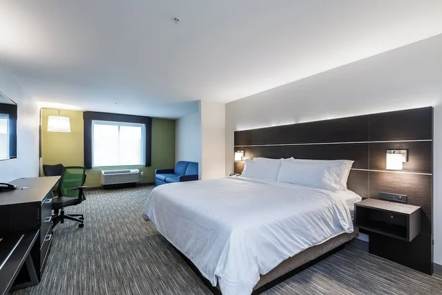 جناح بسرير كينج مع أريكة، Holiday Inn Express and Suites South Bend South 1/3