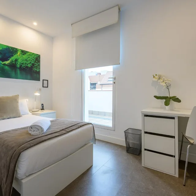 Superior, Single, Terrace, NeoMagna Madrid 1/20