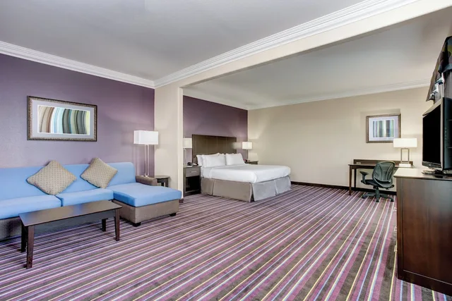 Suite, Single Bed, Accessible, Holiday Inn Express Hotel And Suites Raceland Highway 90 1/2
