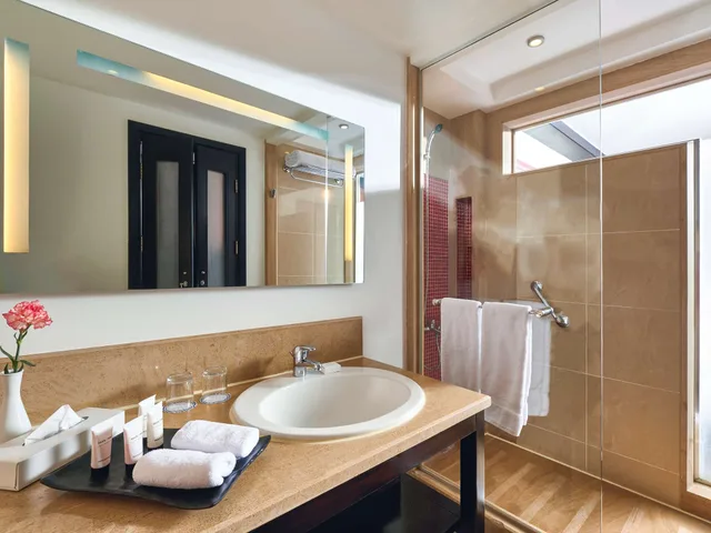 Deluxe, Twin Beds, with View, Movenpick Aswan 2/2