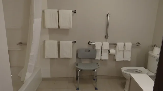 غرفة قياسية بسرير كينج لذوي الإعاقة، Holiday Inn Express & Suites Auburn Downtown 4/4