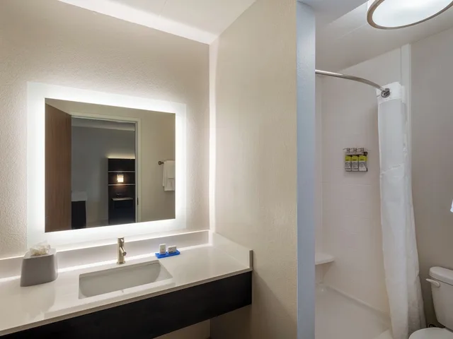 Specialty, Single Bed، Holiday Inn Express Minneapolis West Plymouth 1/1
