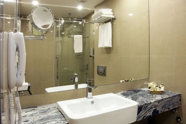 غرفة ديلوكس بسرير كينج مع أريكة، Central Hotel 4/5