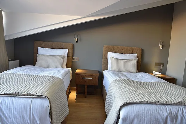 غرفة اقتصادية بسريرين منفصلين بشرفة، The Elegant Hotel 2/6