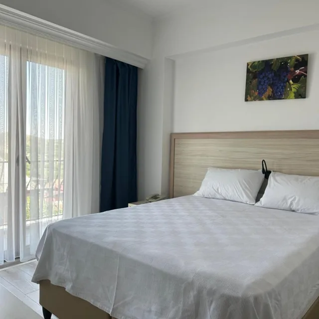 غرفة بسرير مزدوج، Arapgir Nazar Hotel 4/10