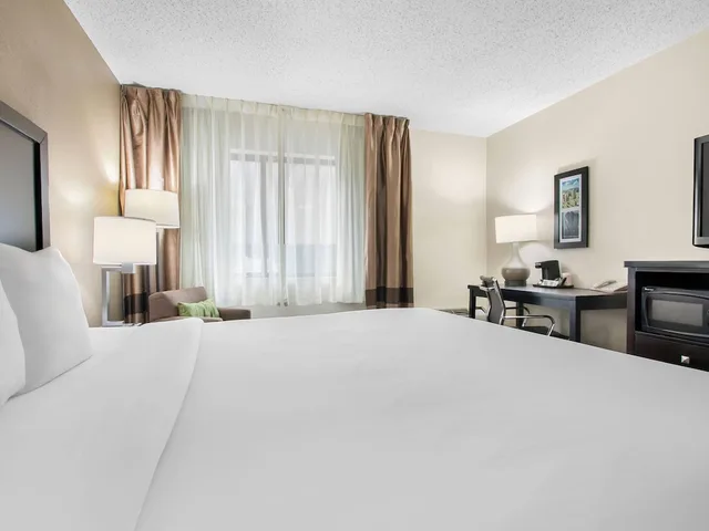 غرفة قياسية بسرير كينج بحوض جاكوزي، Comfort Inn Downtown Detroit MI 4/9
