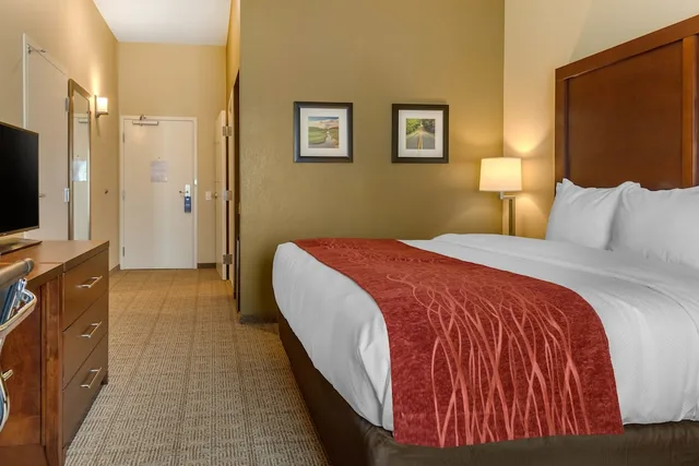 Efficiency, Suite, King Bed, Accessible, Comfort Inn & Suites Gap Amish Country 3/6