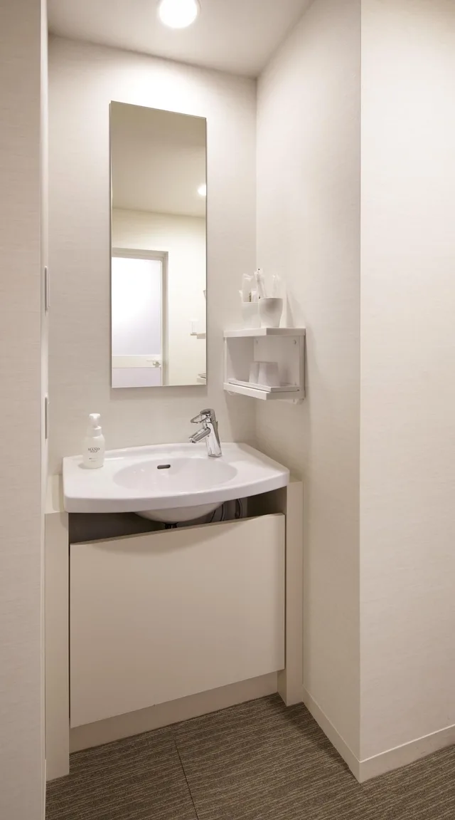 Room, Double Bed, City View, Light Housekeeping، HOTEL Crown Hills Ueno Premier (ex Life Tree Ueno) 3/4