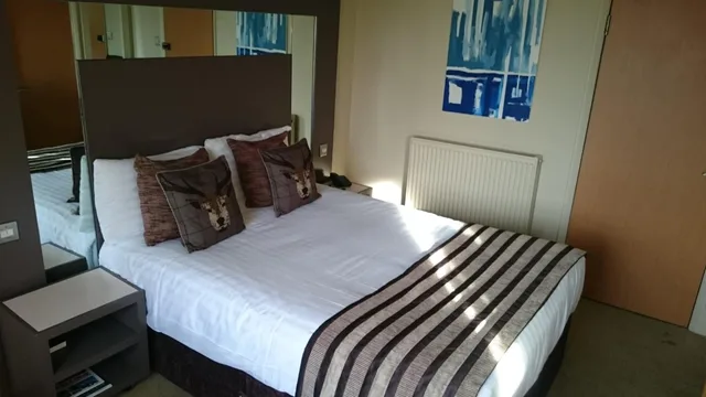 غرفة قياسية بسرير مزدوج، Regent Hotel 7/9