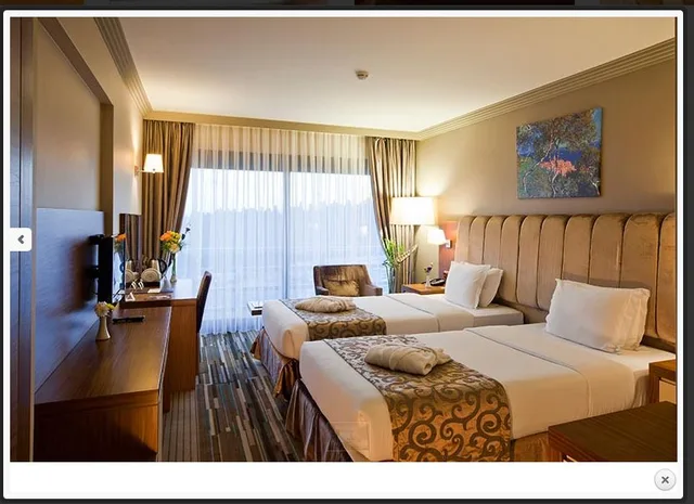 غرفة سوبيريور بسرير مزدوج، VOLLEY HOTEL ISTANBUL 1/1