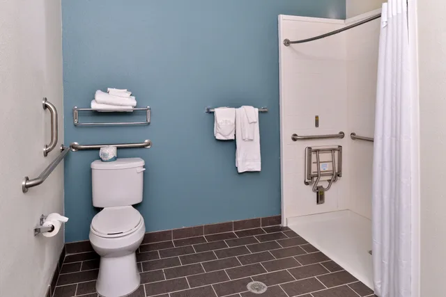 غرفة بسرير كينج لذوي الإعاقة، Sleep Inn & Suites Meridian - Bonita Lakes 2/2