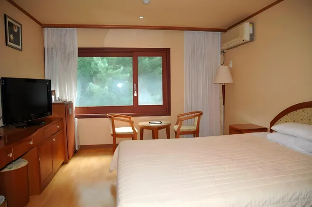 Room, Double Bed, Hot Spring Bath، Suanbo Park Hotel 1/1
