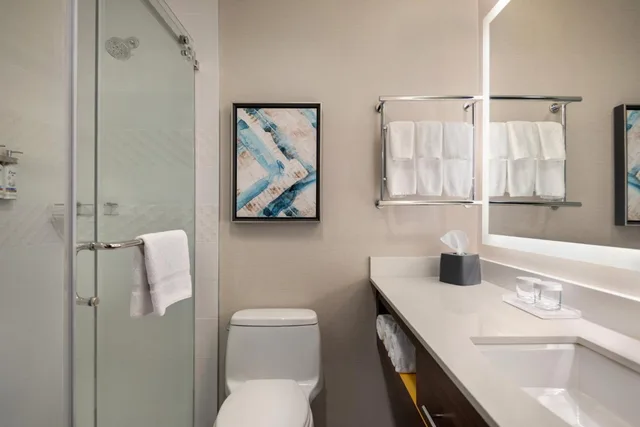 جناح بسرير كينج مع أريكة، HOLIDAY INN HOTEL AND SUITES VANCOUVER DOWNTOWN 4/5