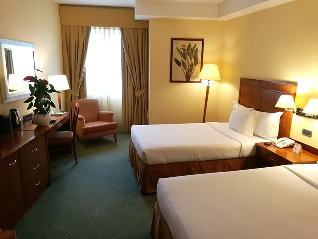 Room, Queen Bed, Accessible, Mercure Rome Leonardo Da Vinci Airport 5/7