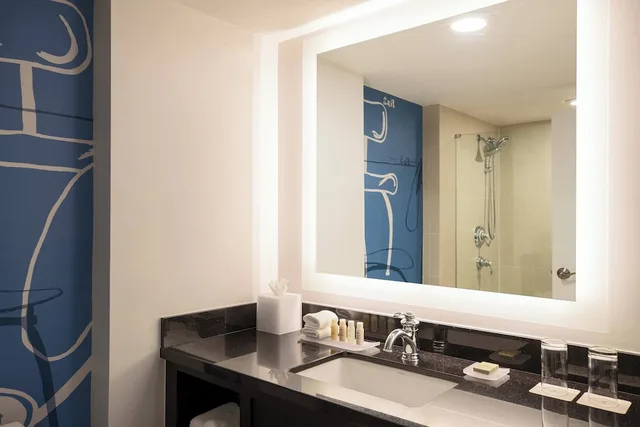 غرفة بسرير كينج لذوي الإعاقة، The Baronette Renaissance Detroit Novi Hotel 2/3