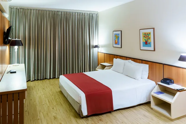 جناح مفردة بسرير مزدوج، Hotel Pan Americano 2/2