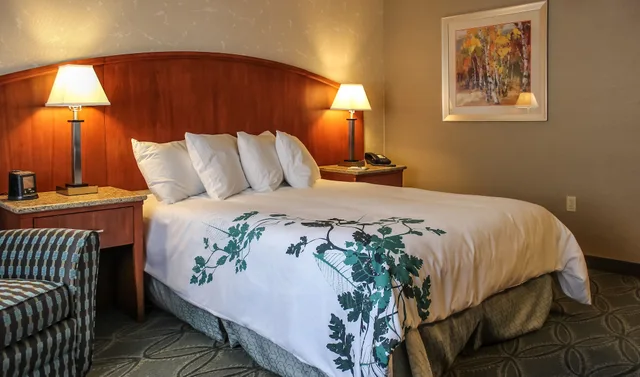 Room, King Bed, Accessible, Wingate by Wyndham Elkins 4/6