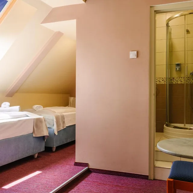 غرفة اقتصادية رباعية، Hotel Unicornis 6/8