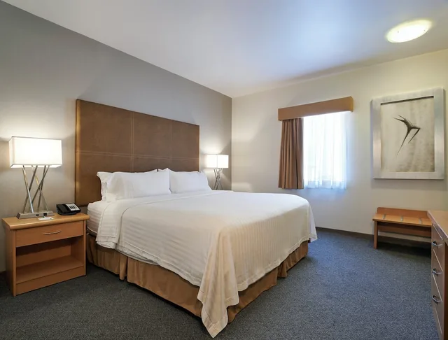 جناح بسرير كينج وسرير كوين، Holiday Inn Hotel And Suites Chihuahua 1/3