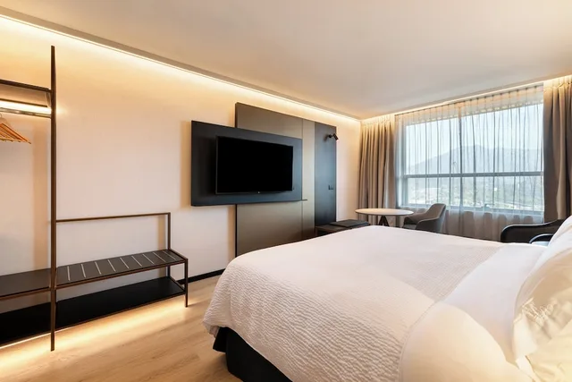 Standard, King Bed, Mountain View, Bath and Shower، Holiday Inn Express Santiago Las Condes Former Holiday Inn Express Santiago el Golf 1/5