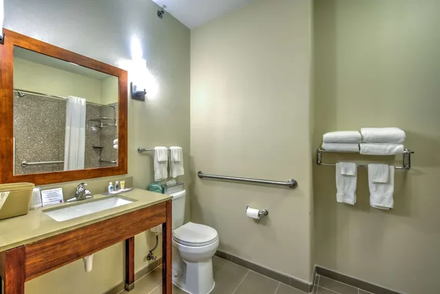 جناح بسرير كينج مع أريكة لذوي الإعاقة، Comfort Suites Tomball Medical Center, TX 6/10