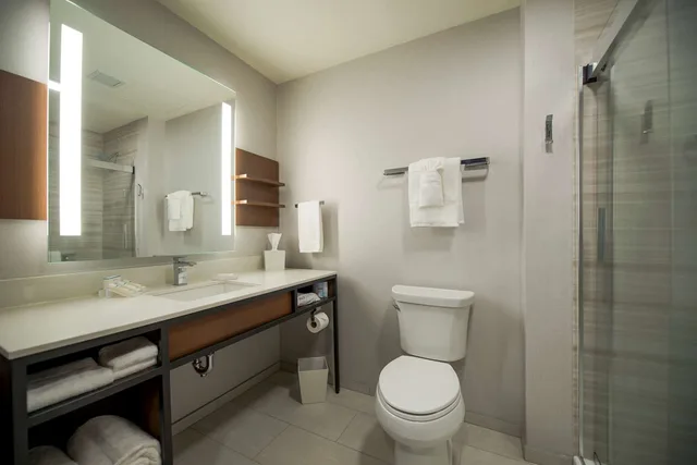 غرفة بسرير كينج مع أريكة لذوي الإعاقة، Hilton Garden Inn Wausau 3/5