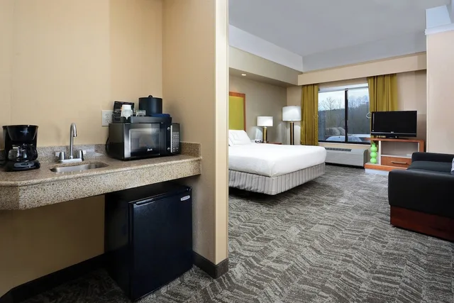 استوديو بسرير كينج مع أريكة بحوض استحمام لذوي الإعاقة، Springhill Suites By Marriott Lynchburg Airport/University Area 4/8