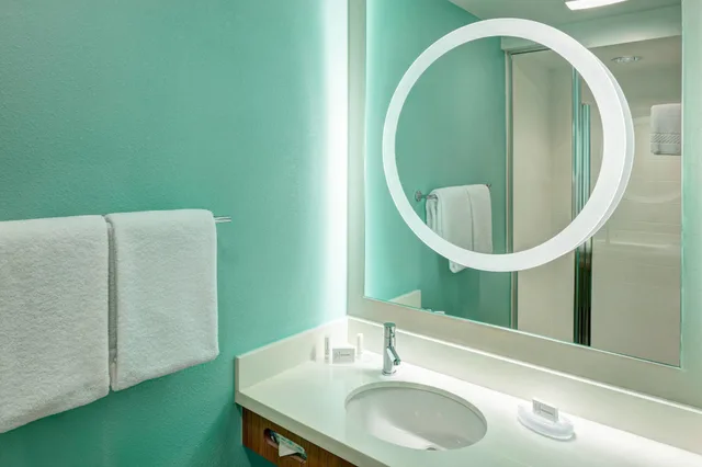 استوديو بسرير كينج مع أريكة، Springhill Suites by Marriott Orlando at Seaworld 2/4