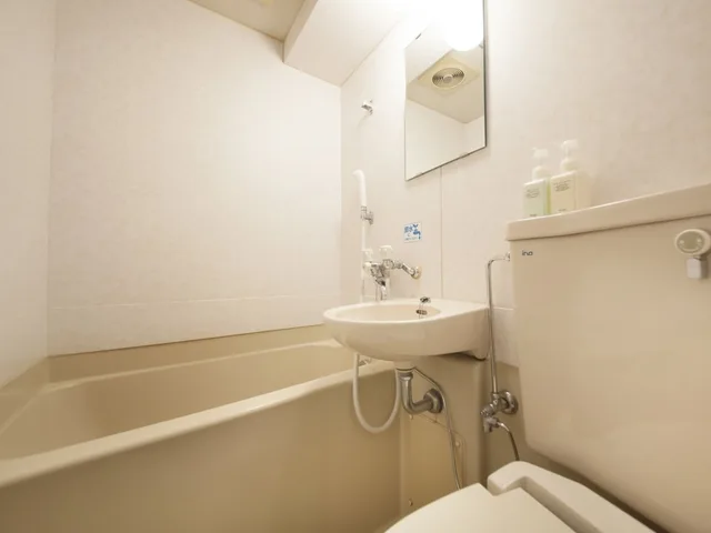 غرفة مفردة، Hotel Green Palace 8/8