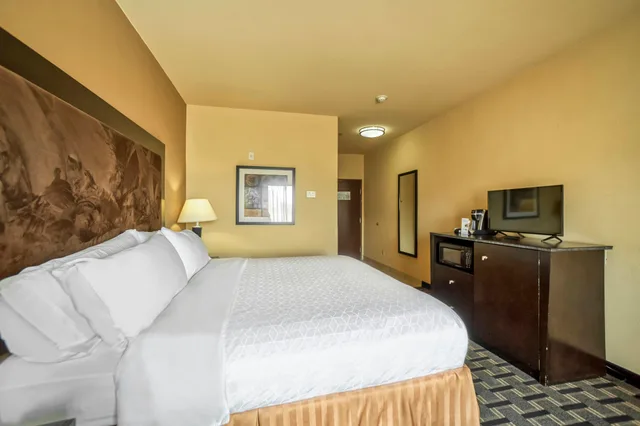 Room, King Bed, Accessible, Holiday Inn Express Suites Beeville 2/10