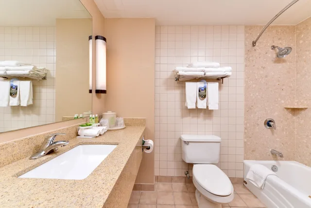 Leisure, King Bed، Holiday Inn Express Breezewood 7/9