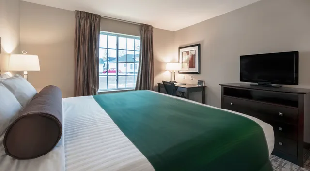 غرفة قياسية بسرير كينج، Cobblestone Inn & Suites Durand 3/3