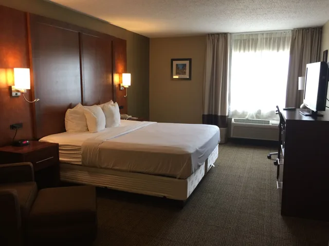 غرفة قياسية بسرير كينج، Comfort Inn Romeoville - Bolingbrook 4/10