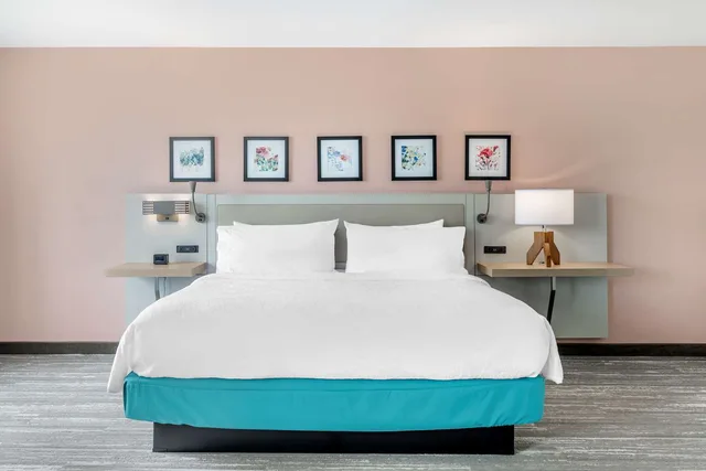 1 King Bed Deluxe with Sofabed, Hilton Garden Inn Atlanta Ne Gwinnett 5/7