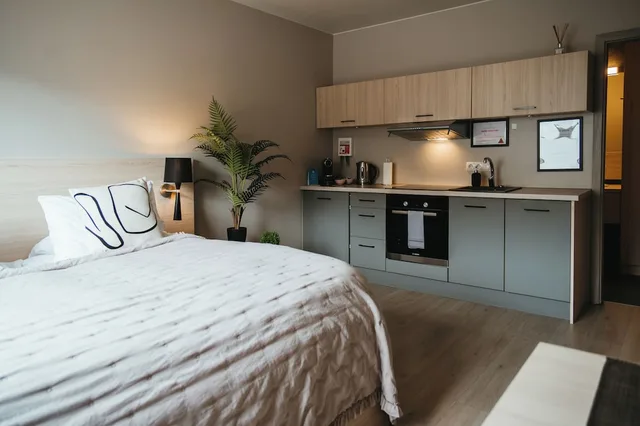 استوديو بسرير مزدوج، Vik Apartments 1/4